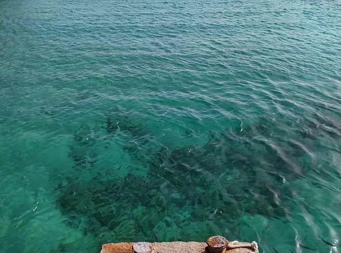 Apartman Alcalde Marcial Sanchez Velazquez 15 *